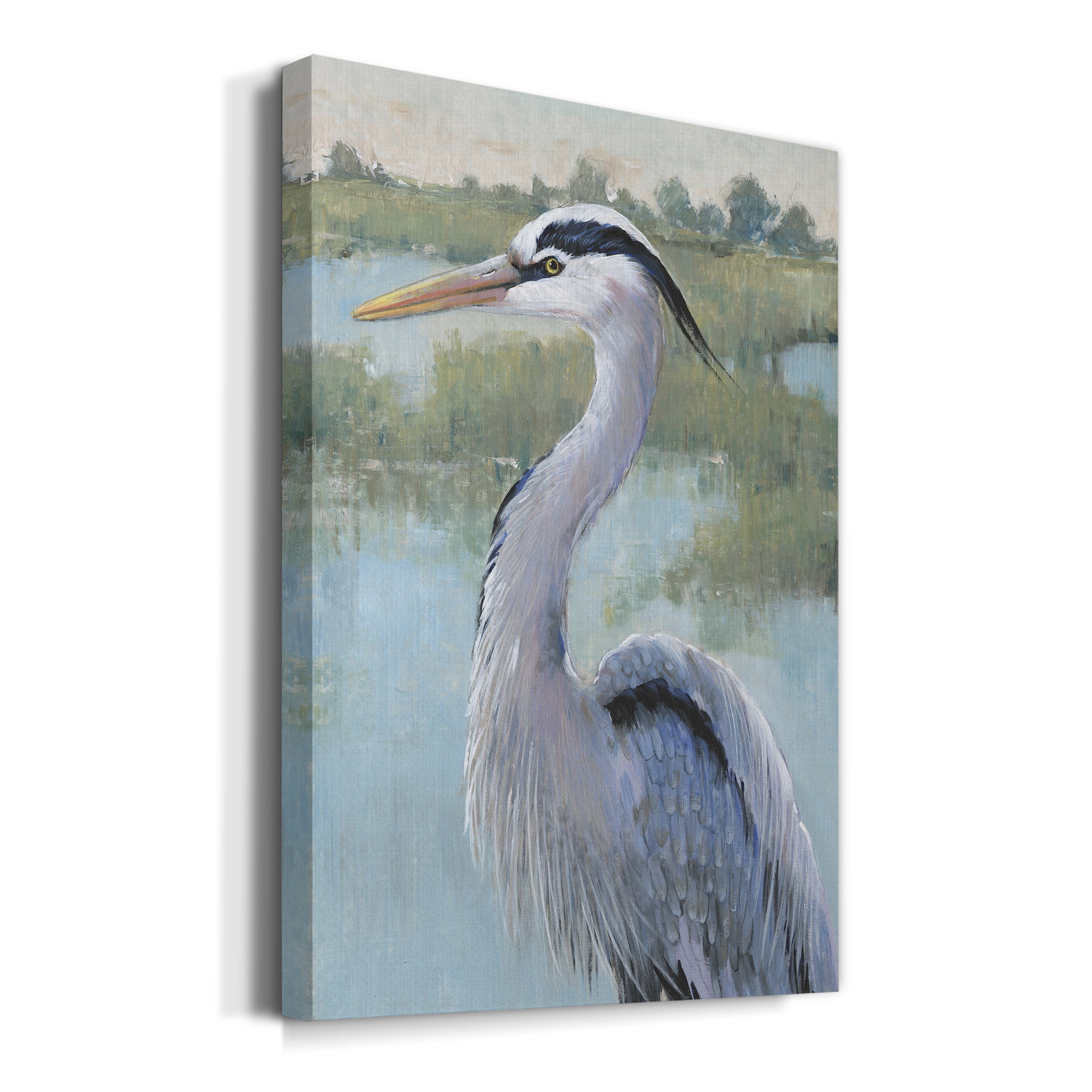 Blue Heron Portrait I Premium Gallery Wrapped Canvas - Ready to Hang