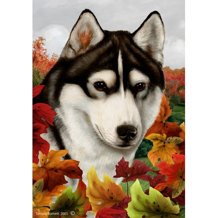 Siberian Husky Black/White - Best of Breed Fall Leaves Garden