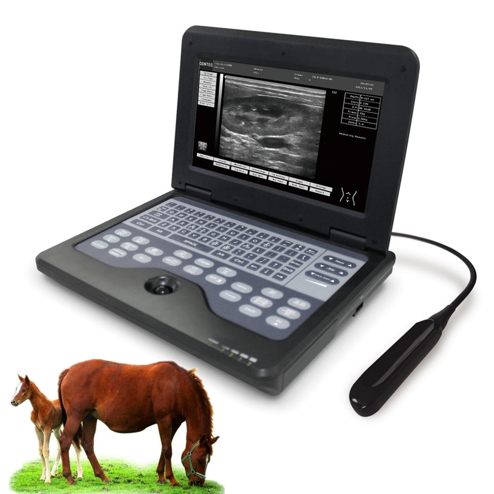 CONTEC Portable Latop Veterinary Ultrasound Scanner Vet Machine with Rectal Probe Horse/Cow/Sheep CONTEC Portable Latop Veterinary Ultrasound Scanner Vet Machine with Rectal Probe Horse/Cow/Sheep