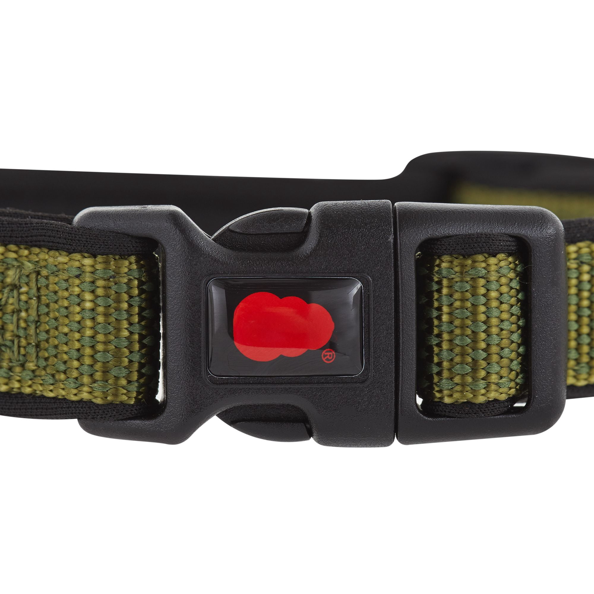 KONG Comfort Neoprene Padded Dog Collar Offered by Barker Brands Inc. (Medium, Green)