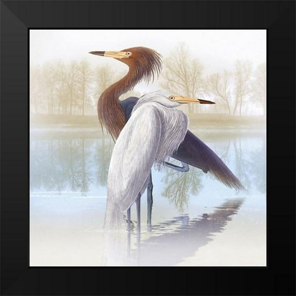 Hunziker, Steve 12x12 Black Modern Framed Museum Art Print Titled - Misty Plumage IV