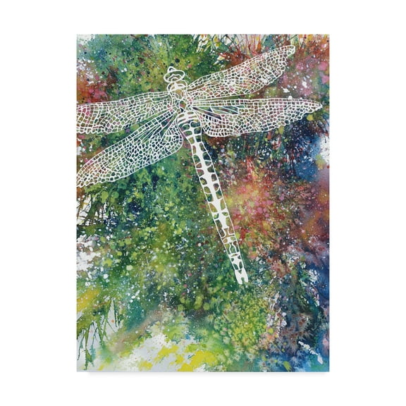 Trademark Fine Art 'Dragonfly 1' Canvas Art by Michelle Faber