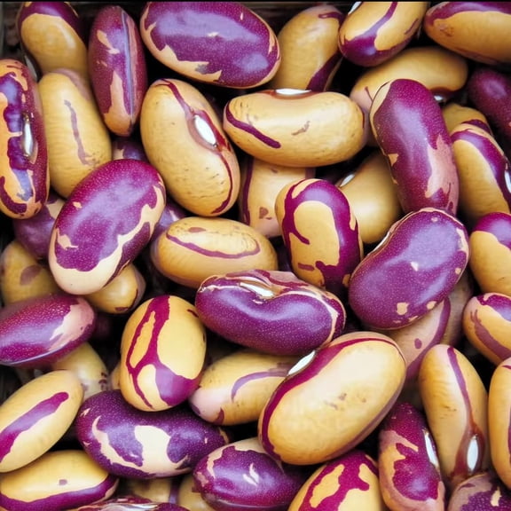 Tigers Eye Bean 25 Seeds | Heirloom Bush Bean with Speckled Pods, Nutty Flavor