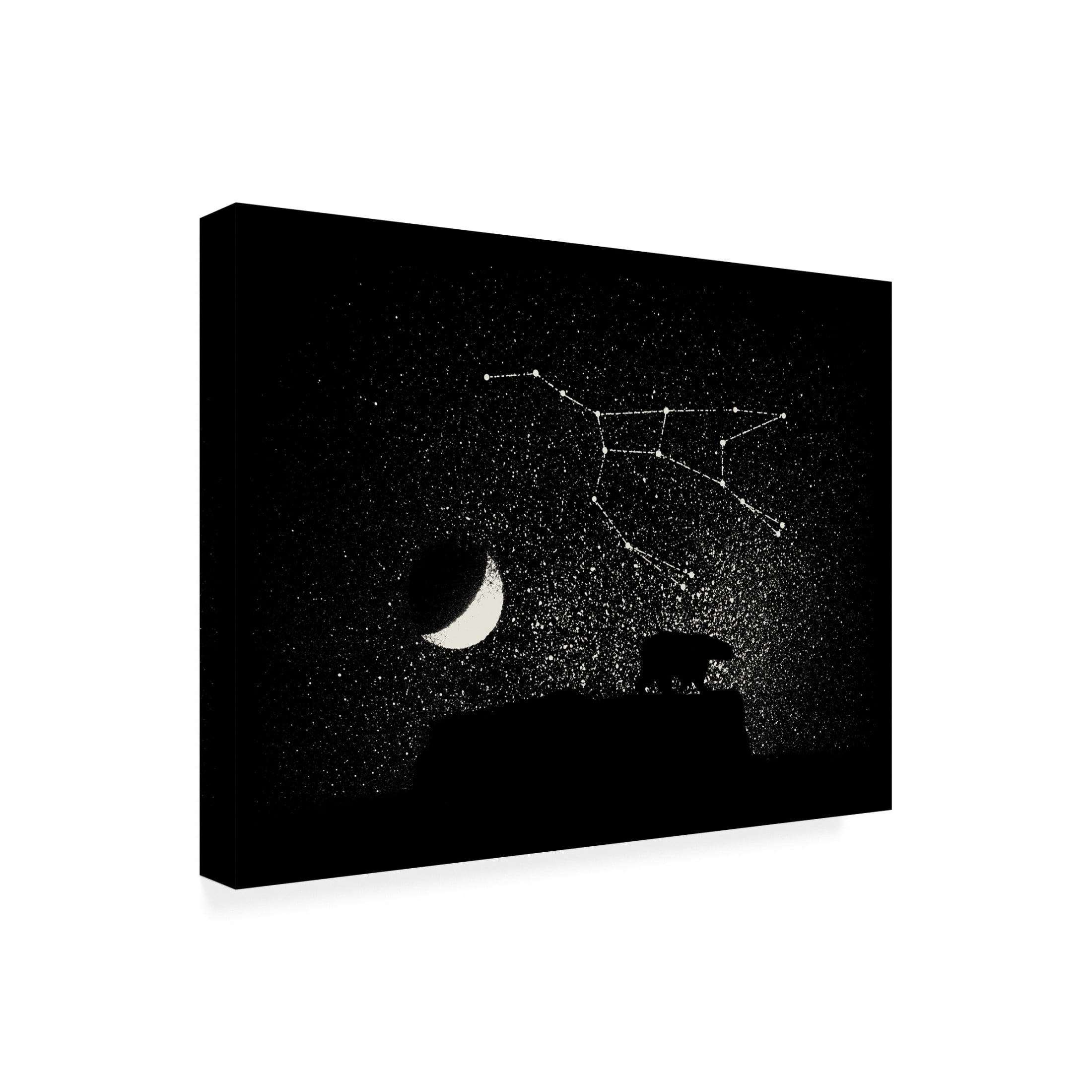 Trademark Fine Art Florent Bodart  Ursa Major Canvas Wall Art