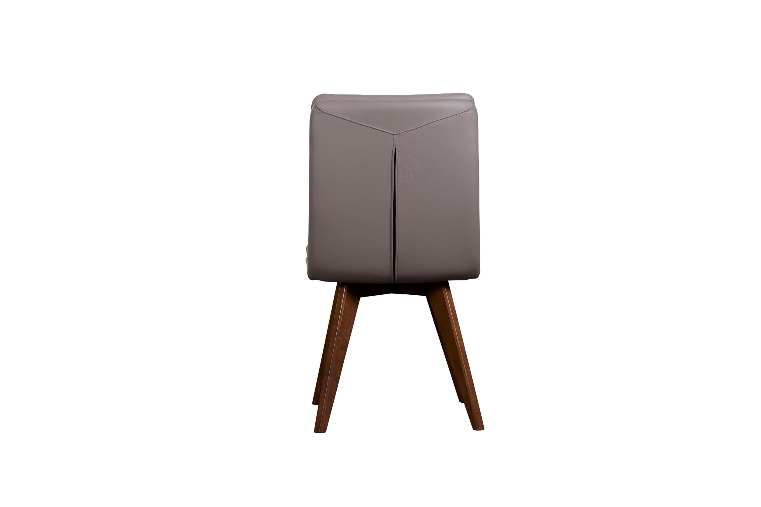 Porter Designs Castor Genuine Leather Dining Chair in Gray (Set of 2)