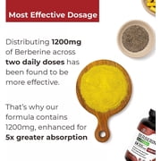 Nutreb Berberine Supplement 1200mg - 5X Higher Absorption - Ultra Pure Berberine HCL - Healthy Weight Management, Immune Support - Non GMO, Manufactured in USA - 60 Vegan Capsules