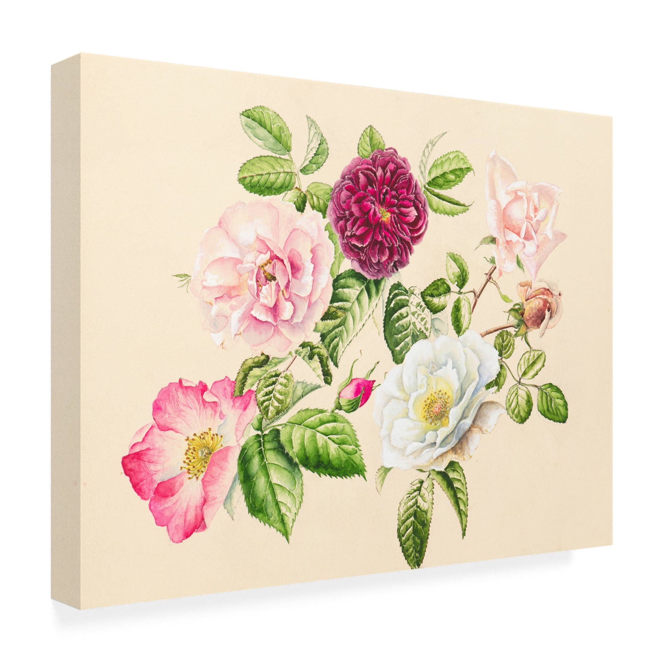 Alison Cooper 'Roses from the Garden, 2020' Canvas Art - 19 x 14 Inches