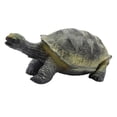 thumbnail image 2 of 13 Inch Giant Tortoise Toy, Soft Rubber Simulated Sea Animal Educational Figure, 2 of 9