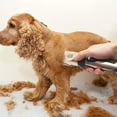 thumbnail image 1 of Premium Pet Hair Trimmer Kit - Electric Precision Clippers with Gentle Hair Cutting Technology - Perfect for Professional Grooming at Home, Ideal for Dogs (Including Teddy Breeds) and Cats, 1 of 5