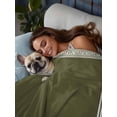 thumbnail image 3 of Olive Green Greek Key California King Size Flat Sheet, Wrinkleproof & Fadeproof Cooling Flat Bed Sheet Only, Geometric Greece Ancient Farmhouse Geo Breathable Soft Bedding Top Sheets 108 x 98 Inches, 3 of 8