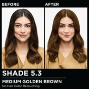Garnier Olia Oil Powered Permanent Hair Color, 5.3 Medium Golden Brown