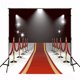 thumbnail image 2 of Telón de fondo Iluminación ABPHQTO 150x220cm brillo Alfombra roja Escenario Niños Recién nacido fotografía fondo, 2 of 2