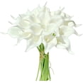 thumbnail image 1 of 20pcs Artificial Calla Lily Silk Flowers Mother's Day Gift 13.4" for Home Kitchen Wedding Table Decoration, 1 of 5