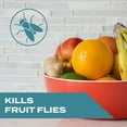 thumbnail image 3 of STEM Kills Indoor Fruit Flies Trap, 5.4 fl oz, 3 of 13