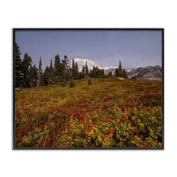 Stupell Industries Farmhouse Mountain Meadow Scenery Black Framed Giclee Art, 14 x 11, by Aaron Matheson