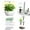 White#2235, variant on cpengpj ClearanceGreen Seed Pod Kit Green Leafy Vegetables, Romaine And Butterhead Lettuce Seed Pod Kit (Kit 1: 30pcs/set (Seedling Cover. Stickers. Planting Basket) Kit 2: 30p