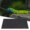 thumbnail image 3 of huanledash Reptile Carpet Soft Convenient Wear-Resistant Reptile Lizard Turtle Landscaping Pad Pet Supplies, 3 of 7