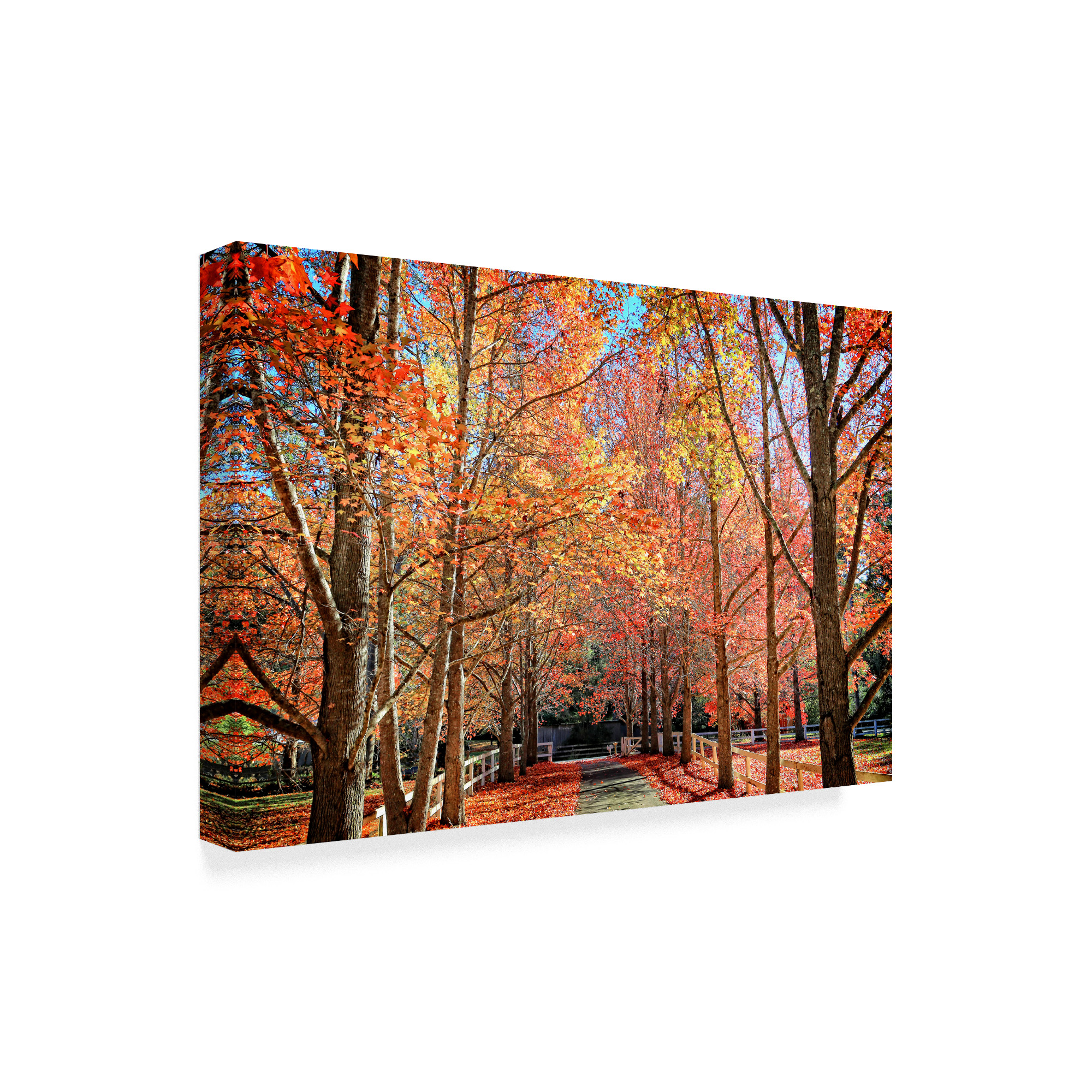 Trademark Fine Art 'Autumn Steet' Canvas Art by Beata Czyzowska Young