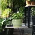 thumbnail image 4 of Ordivic 8 inch Glossy Green Ceramic Planters with Drainage & Saucer, Medium Round Flower Pot for Pothos Snake Plants Living Room Entryway Decor, 4 of 6