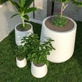 thumbnail image 4 of LeisureMod Orchid Planter Set White, 4 of 11