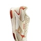 thumbnail image 2 of Tenis Reebok Glide Dmx Unisex Moderno beige 27, 2 of 5