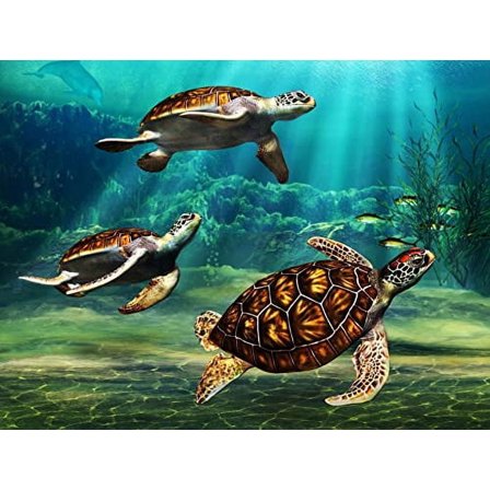 Sea Turtles Edible Icing Image Cake topper Custom when ordering