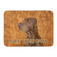 thumbnail image 1 of Carolines Treasures SS4879RUG Field Spaniel Wipe Your Paws Machine Washable Memory Foam Mat, 1 of 4
