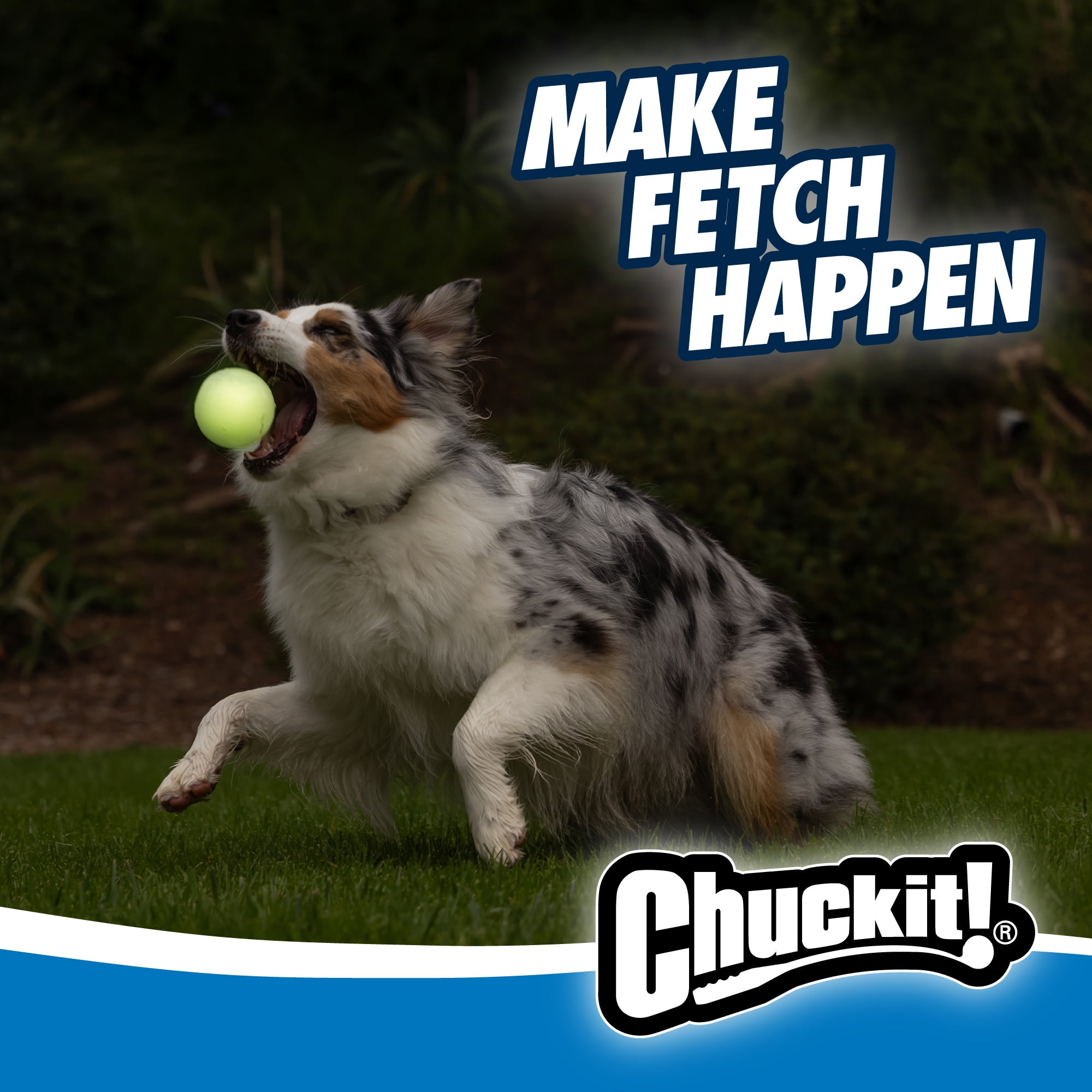 (2 pack) Chuckit! Max Glow Rubber Dog Ball Fetch Toy For Dogs, Medium 2.5" for Pets 20-60 lb, Pack of 1, Glow in the Dark