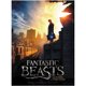 Harry Potter: Fantastic Beasts - Bowtruckle 500 Piece Jigsaw Puzzle