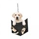 thumbnail image 1 of 6x Lindo Perro Coche Colgante Encantos Adorno Accesorios de Coche Divertido Espejo Retrovisor de Coche 6 piezas, 1 of 7