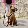 thumbnail image 4 of Bozales De Nailon Con Lazo Ajustable Para Perro, 4 of 6