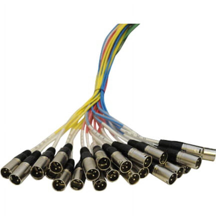 SALS-24x8x100 - 24 Channel 100' Snake Cable (XLR & TRS Returns)