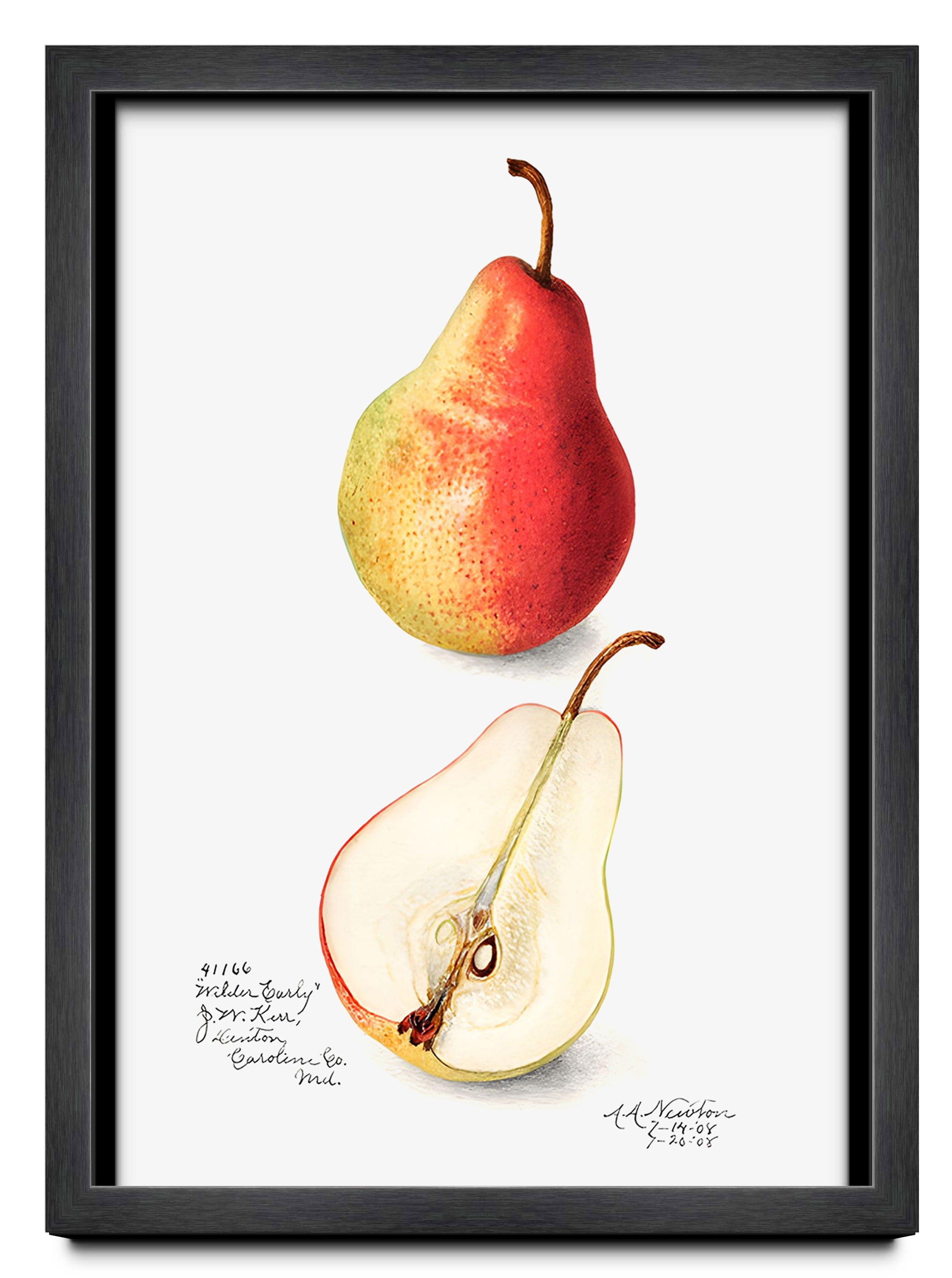 18x24 Flat Charcoal Grey Wood Frame - "The Edge" Thin - Great for Posters, Photos, Art Prints,