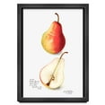 thumbnail image 4 of 20x27 Frame Charcoal Flat Solid Wood Frame with UV Framer's Acrylic & Foam Board Backing - Puzzle, 4 of 8