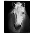 thumbnail image 2 of Designart 'White Horse Black and White ' Animal Canvas Art Print, 2 of 3