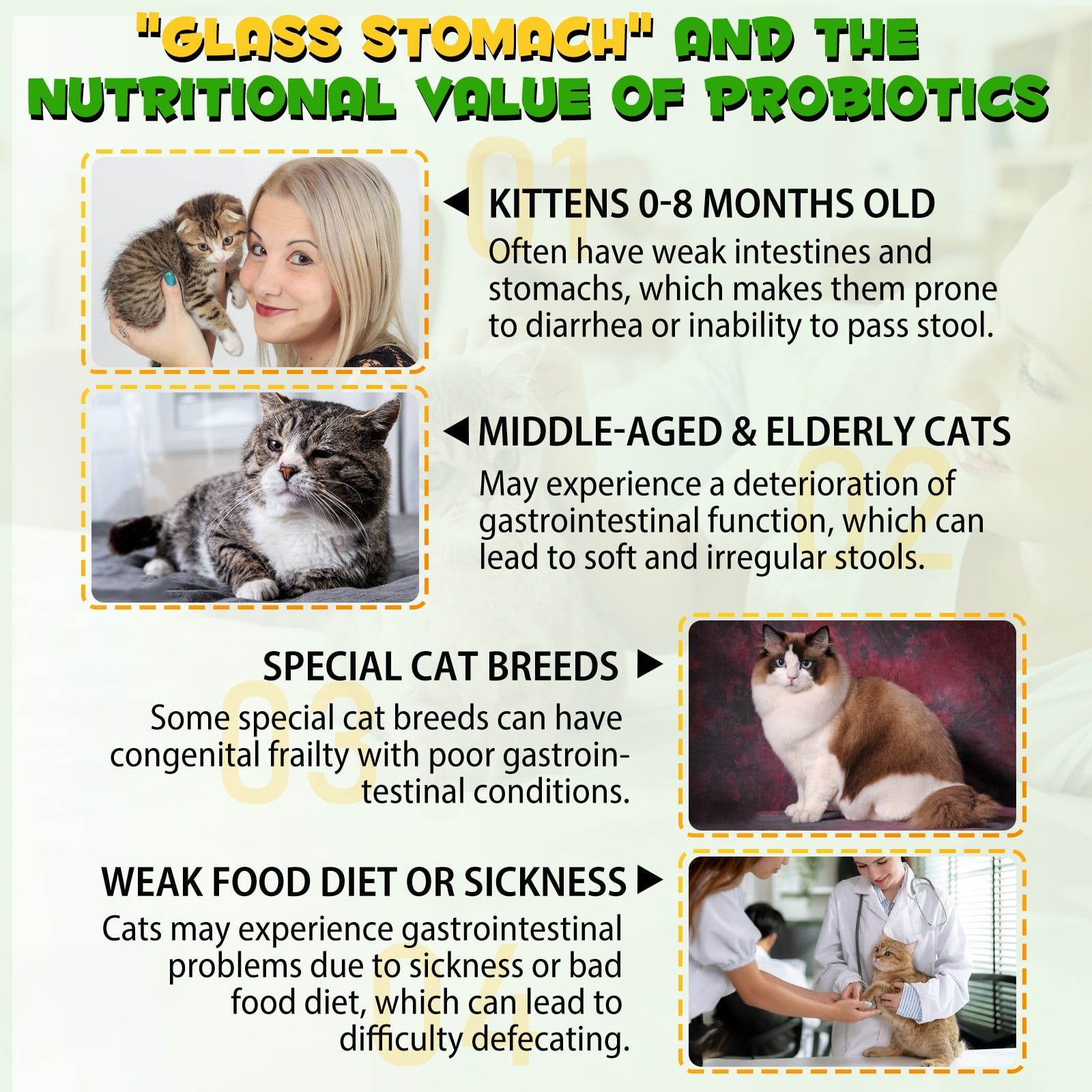 Oimmal Cat Constipation Relief Drops Liquid Herbal Supplements for Cats Promotes Healthy Bowel Cat Laxative Constipation Relief Supports Digestive Health 4 Fl Oz Walmart