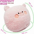 thumbnail image 2 of Oreiller en Peluche Cochon 16 Pouces, 2 of 5