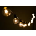thumbnail image 5 of G50 LED Warm White String Lights with Black Wire, 5 of 8