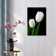 thumbnail image 2 of wall26 - Canvas Prints Wall Art - White Tulip on Black Background | Modern Wall Decor/Home Decoration Stretched Gallery Canvas Wrap Giclee Print. Ready to Hang - 12" x 18", 2 of 4