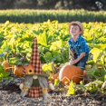 thumbnail image 4 of POINTERTECK 2PCs Harvests Festival Thanksgiving Gift Dwarf Gnome Handmade Home Faceless Doll Decor, 4 of 6