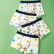 thumbnail image 1 of Calzoncillos tipo bóxer de verano para niños, de algodón, clase A, tallas pequeñas y medianas, para niños, 1 of 5