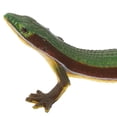 thumbnail image 3 of Lizard Figurine Model Fake Lizard Plastic Lizard Toy Simulation Reptile Toy, 3 of 8
