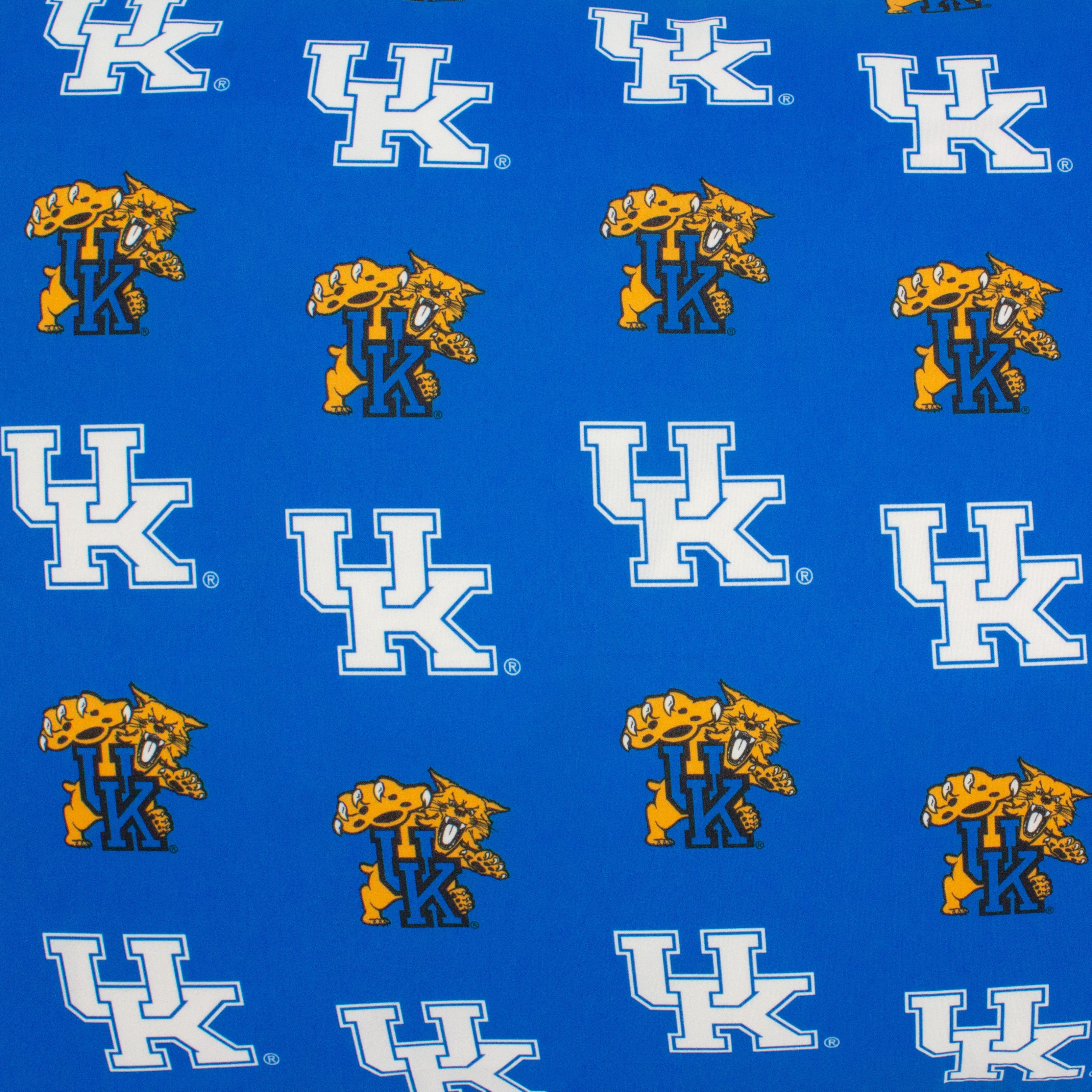 Kentucky Wildcats Pillowcase Body Pillow - 20" x 60"