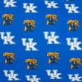 thumbnail image 6 of Kentucky Wildcats Pillowcase Body Pillow - 20" x 60", 6 of 6