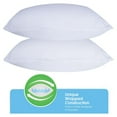 Sertapedic King Size Pillows, Won't Go Flat, Set of 2, Hypoallergenic