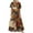 Coffee, variant on ZANZEA Dresses for Women Daily Leaves Printed Tank Swing Long Maxi Dress