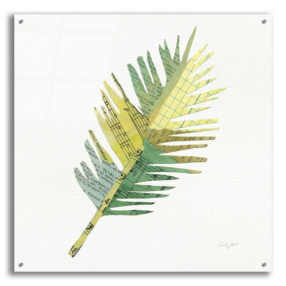 Epic Art 'Tropical Fun Palms I' by Courtney Prahl, Acrylic Glass Wall Art, 36"x36"