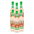 thumbnail image 1 of PACK DE 6 BRANDY PRESIDENTE SANDIA CON CHILE 700ML, 1 of 3