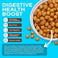 thumbnail image 7 of BIENA Chickpea Snacks, Roasted Chickpeas, Sea Salt, Crunchy Healthy Snacks, High Protein & High Fiber Vegan Snack, Gluten Free Plant Based Snack for Adults & Kids, 4-Pack, 5 Oz Bags, 7 of 7