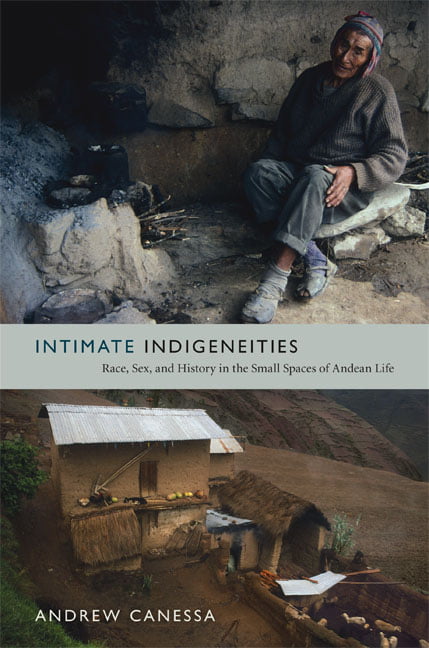 Sex Intimate Indigeneities Race and History in the Small Spaces of Andean Life
